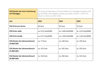 Wie wirkt sich der CO2-Preis in 2025 bei Öl- und Gasheizung aus?