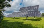 Was versteht man unter Agri-Photovoltaik?