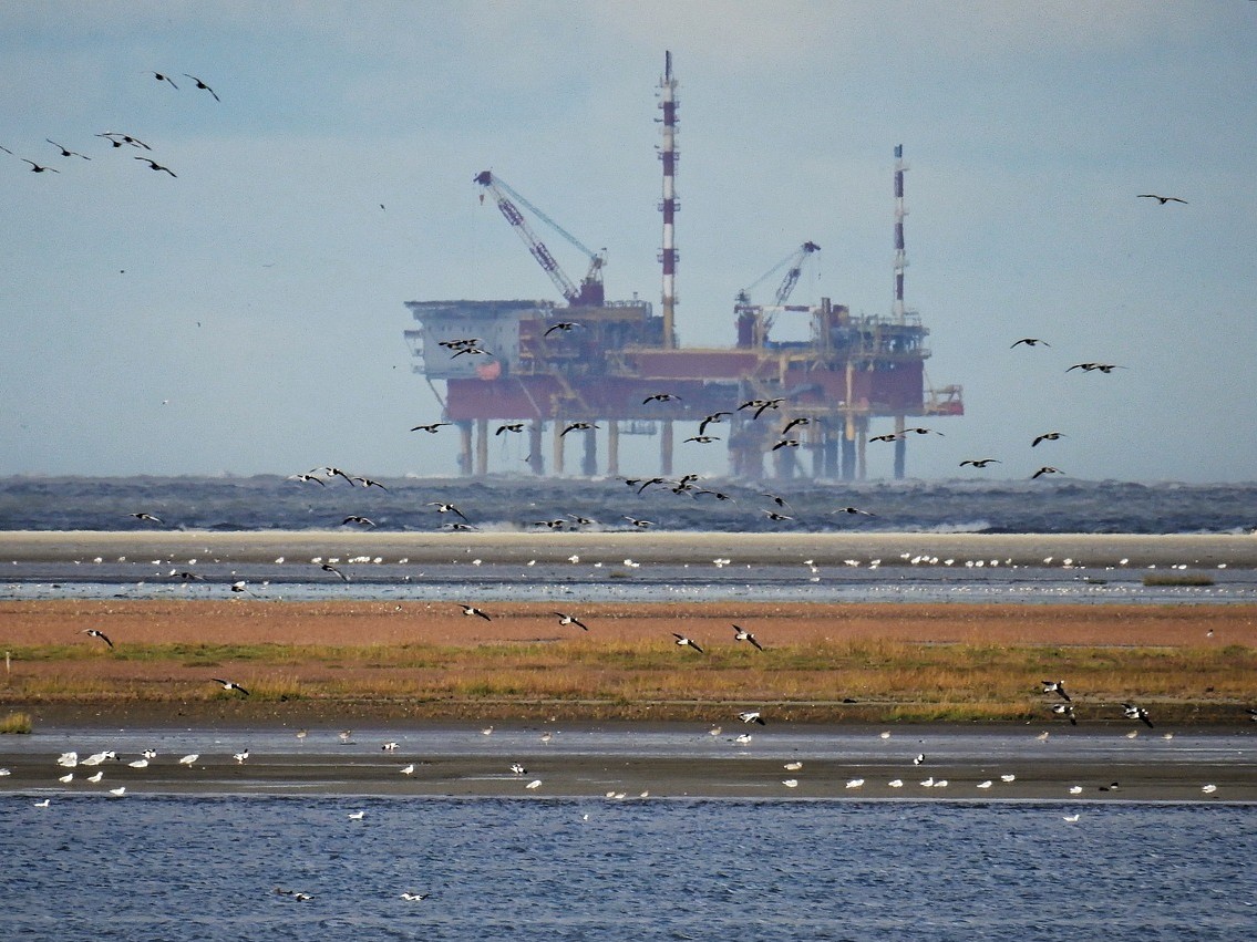 Bohrinsel
