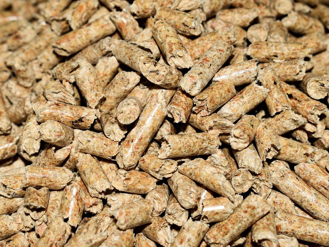 pellets-4844847_1280__1_.jpg