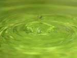 Marktdaten Bioethanol 2024