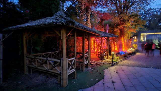 Halloween trifft auf tropisches Flair!  groß