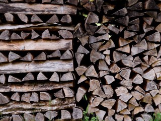 Bild zur News:Scheitholz richtig lagern und verfeuern: Wie Restfeuchte, Holzart und Ofentechnik zusammenwirken